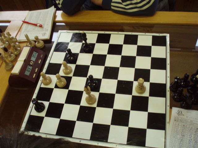 Slepanek-Paluch_davaji_remiz